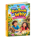 The Big Book of Why Fun With Science illustrated cover